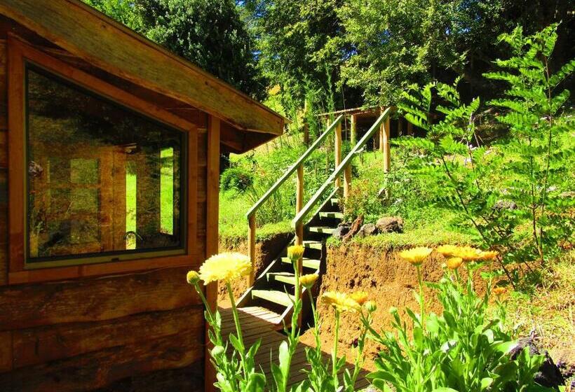 آپارتمان 1 خوابه, Refugio Montaña Kultrun Mawida, Habitación Con Baño Y Cocina Privada