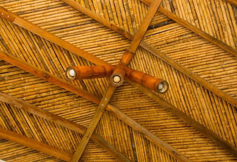 اتاق لوکس, Riverside Ecoliving Space