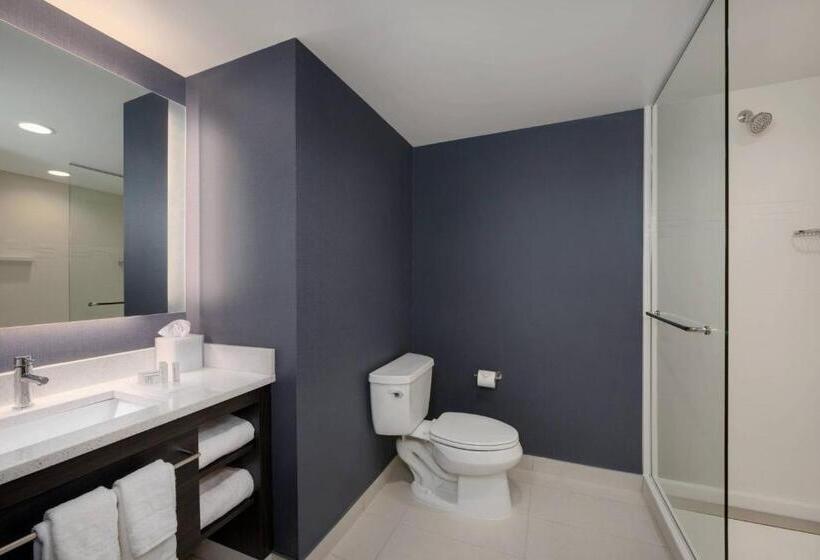 سوییت, Residence Inn By Marriott Indianapolis Keystone