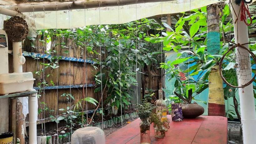 اتاق استاندارد, Raices Mompiche