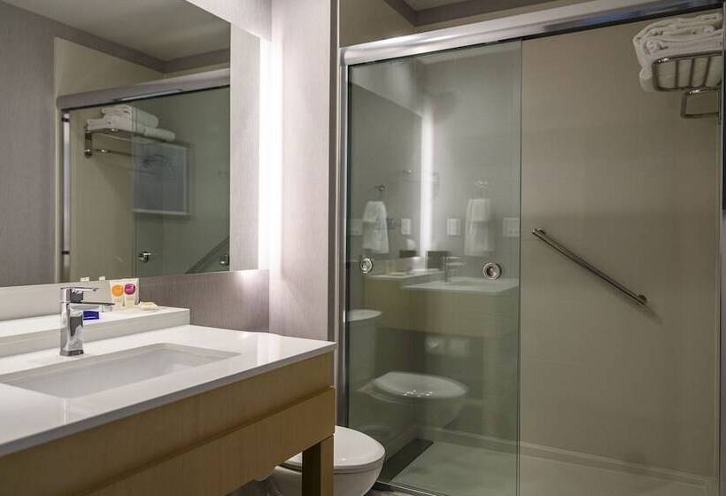 اتاق استاندارد, Hyatt House Indianapolis Fishers