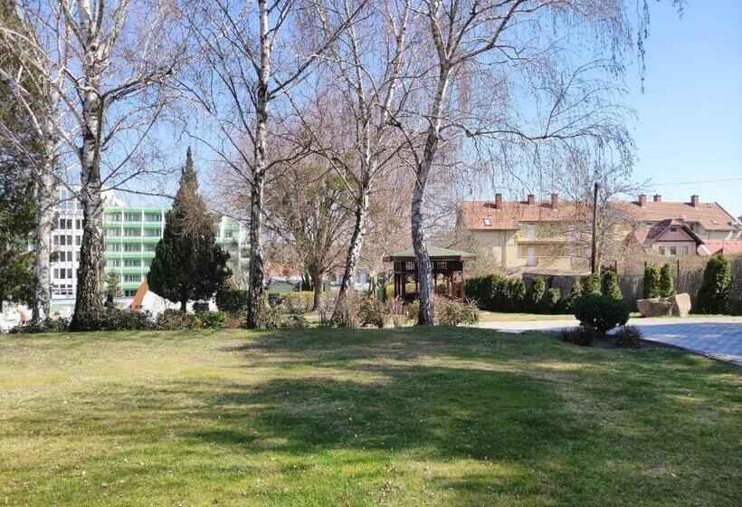 آپارتمان 1 خوابه با تراس, Spa Residence Carbona Emdona Luxury Apartment