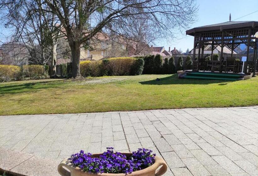 آپارتمان 1 خوابه با تراس, Spa Residence Carbona Emdona Luxury Apartment