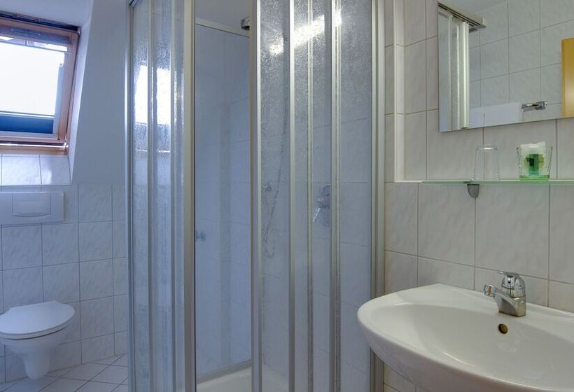 اتاق استاندارد یک نفره, Central Hotel Friedrichshafen
