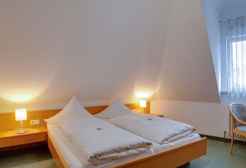 اتاق استاندارد, Central Hotel Friedrichshafen