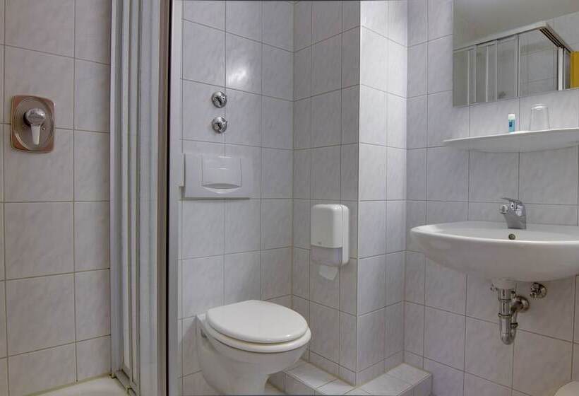 اتاق استاندارد, Central Hotel Friedrichshafen