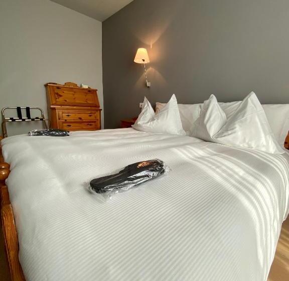 اتاق سوپریور, Rutzer Hotel Ristorante & Panoramic Spa
