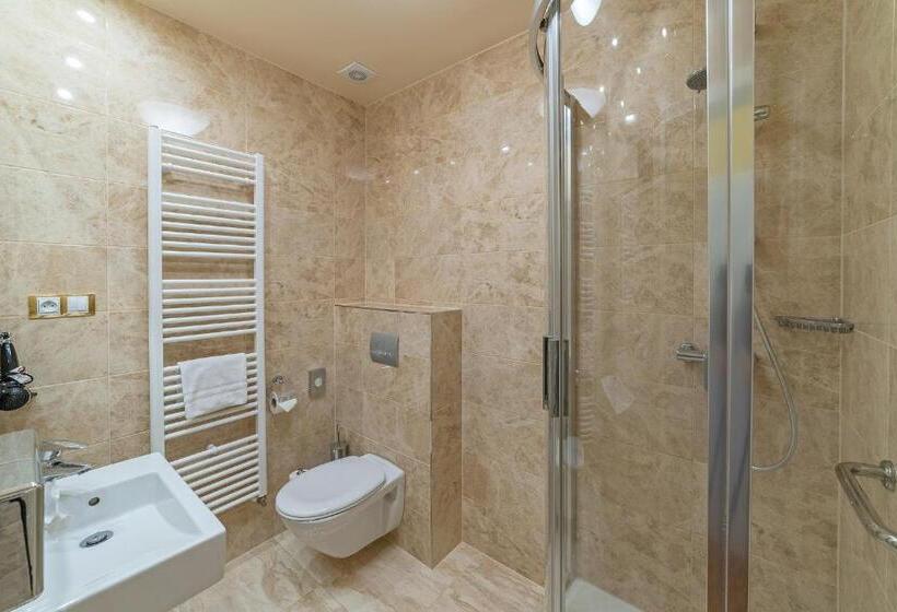 اتاق راحتی یک تخته, Spa Resort Pawlik Aquaforum