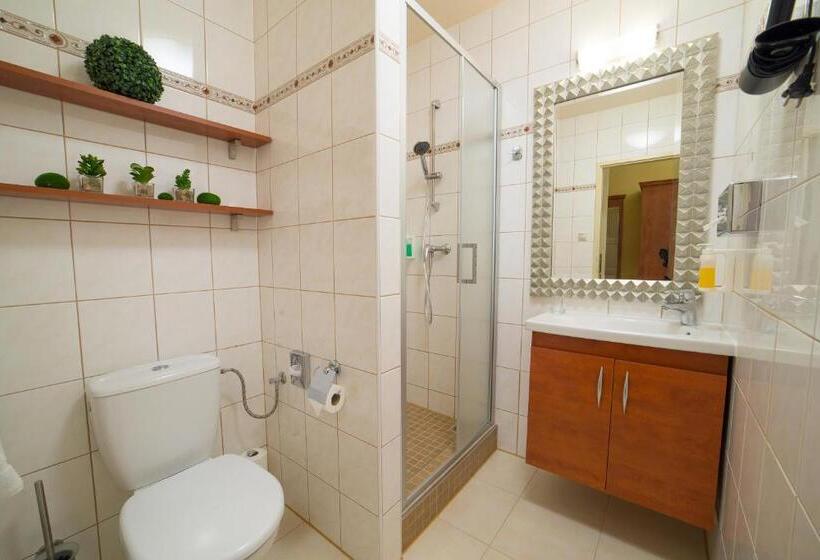 اتاق سوپریور یک تخته, Spa Resort Pawlik Aquaforum