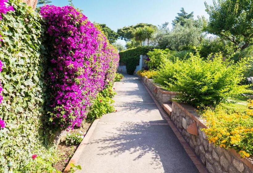 Standard Room Garden View, Villa Ceselle