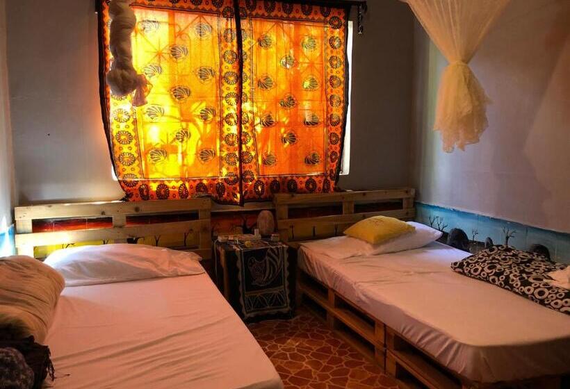 اتاق استاندارد, The Greenhouse Hostel Arusha Tanzania