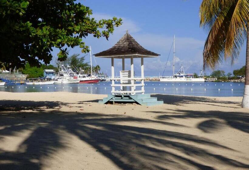 استودیوی استاندارد, Beach Studio 9