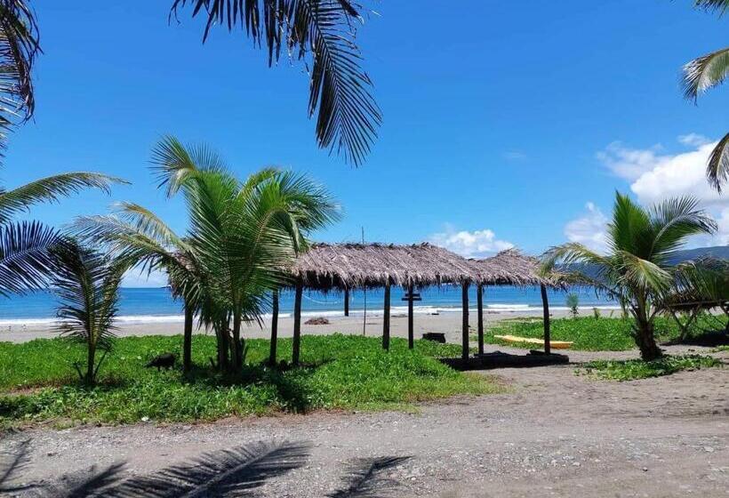 اتاق استاندارد با چشم‌انداز استخر, North Shore Beach Resort
