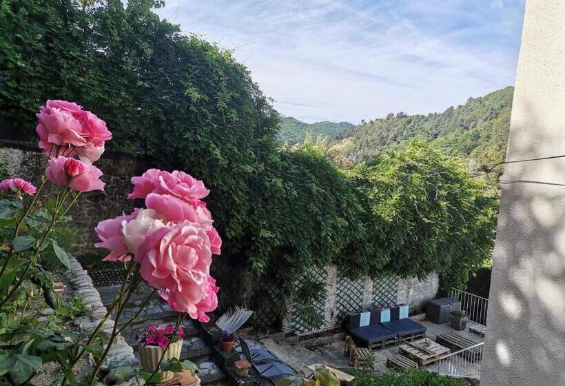 اتاق استاندارد, La Dolce Vita Lucie
