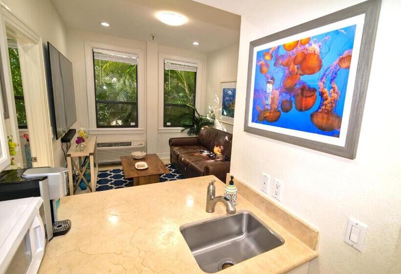 آپارتمان 1 خوابه با چشم‌انداز استخر, Tropical Beach Condo   Pool, Shops, 86 Tv, Wifi