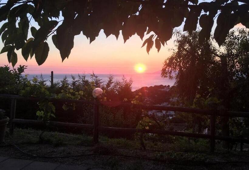 اتاق داخلی دلوکس, Agriturismo Del Sole