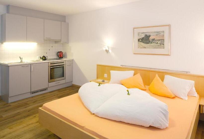 Студия Стандарт, Apart Hotel Garni Alvetern