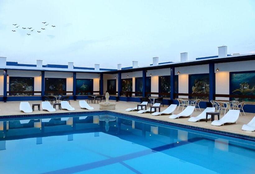 اتاق استاندارد, Aqaba Adventure Divers Village