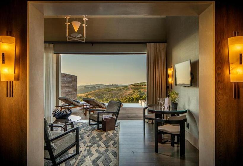 ویلای سوپریور 1 خوابه, Delaire Graff Lodges And Spa