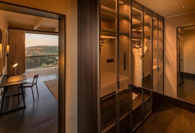ویلای سوپریور 1 خوابه, Delaire Graff Lodges And Spa