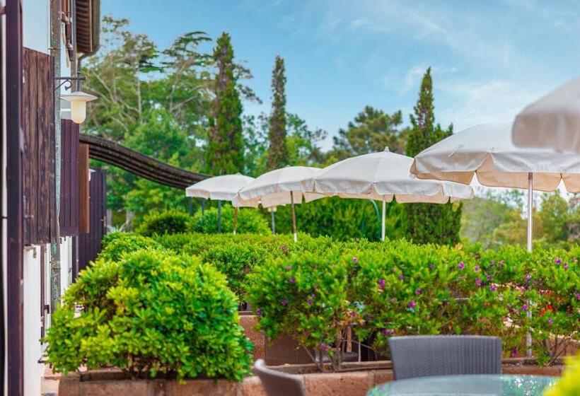 آپارتمان 1 خوابه, Tenuta Delle Ripalte