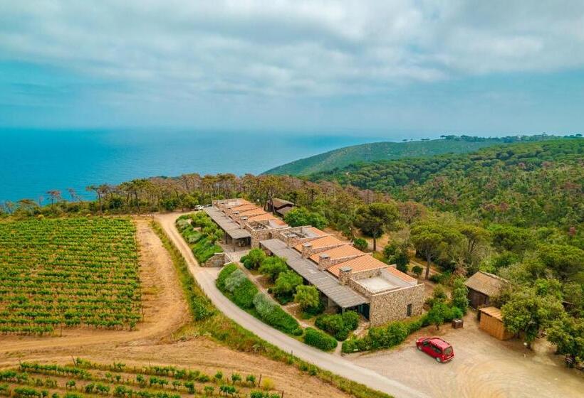 آپارتمان 1 خوابه همکف, Tenuta Delle Ripalte