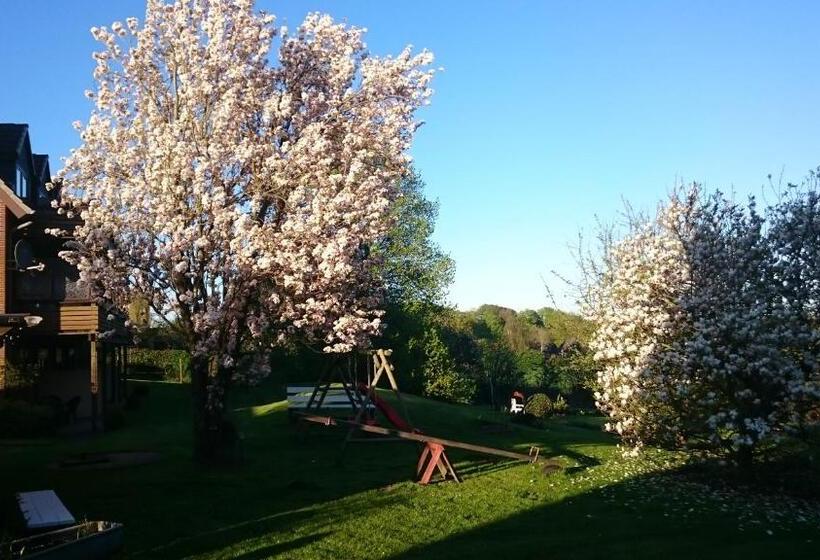 اتاق استاندارد یک نفره, & Restaurant Schlei Liesel