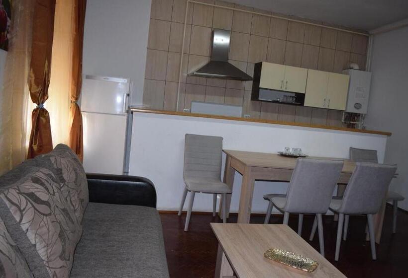 Apartamento 1 Dormitorio, Pension Casa Samurai