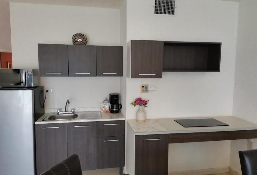 استودیوی استاندارد با چشم‌انداز دریا, Condominios San Carlos