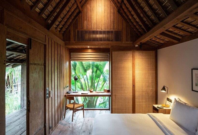 استودیوی استاندارد, The Asa Maia   Adults Only Resort