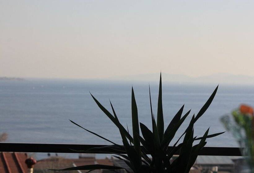 اتاق استاندارد با چشم‌انداز دریا, Nayla Palace Hotel Special Category