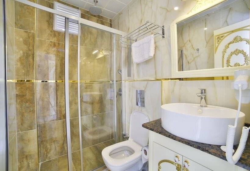 اتاق استاندارد, Nayla Palace Hotel Special Category