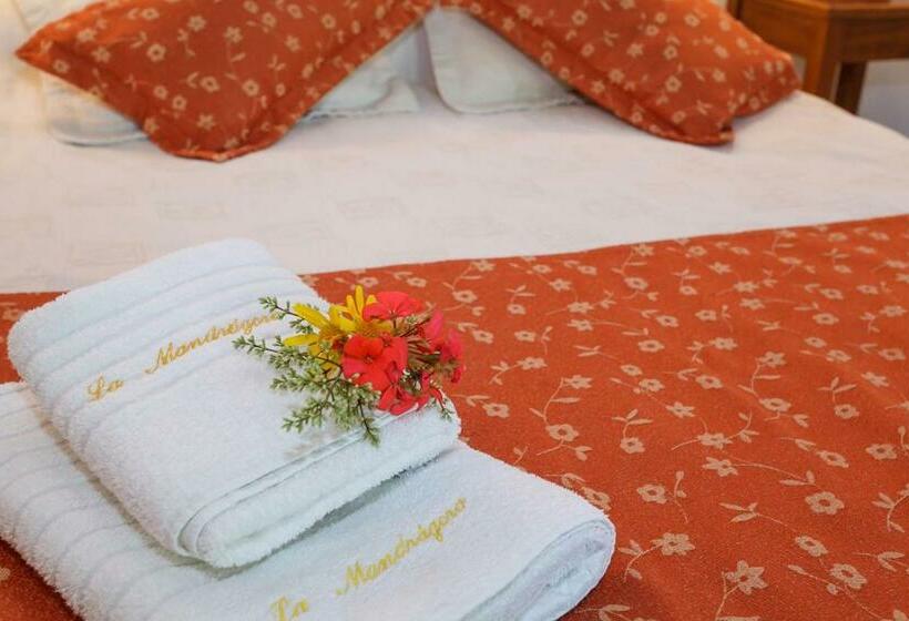 آپارتمان سوپریور 1 خوابه, Cabañas La Mandrágora