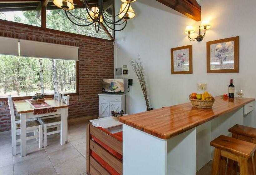 آپارتمان سوپریور 1 خوابه, Cabañas La Mandrágora