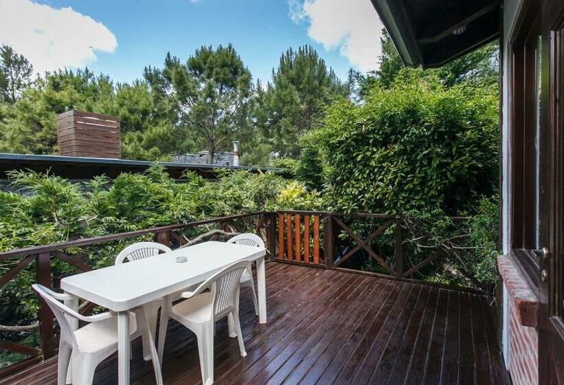 آپارتمان سوپریور 1 خوابه, Cabañas La Mandrágora