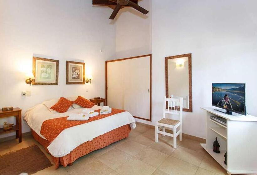 آپارتمان سوپریور 1 خوابه, Cabañas La Mandrágora