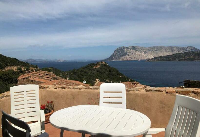 آپارتمان 2 خوابه با چشم‌انداز دریا, Villaggio Est A Capo Coda Cavallo San Teodoro