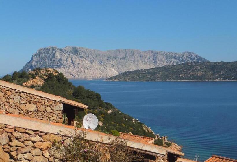 استودیوی استاندارد, Villaggio Est A Capo Coda Cavallo San Teodoro