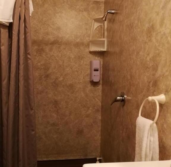 آپارتمان لوکس 2 خوابه, Ascot Oamaru Motel