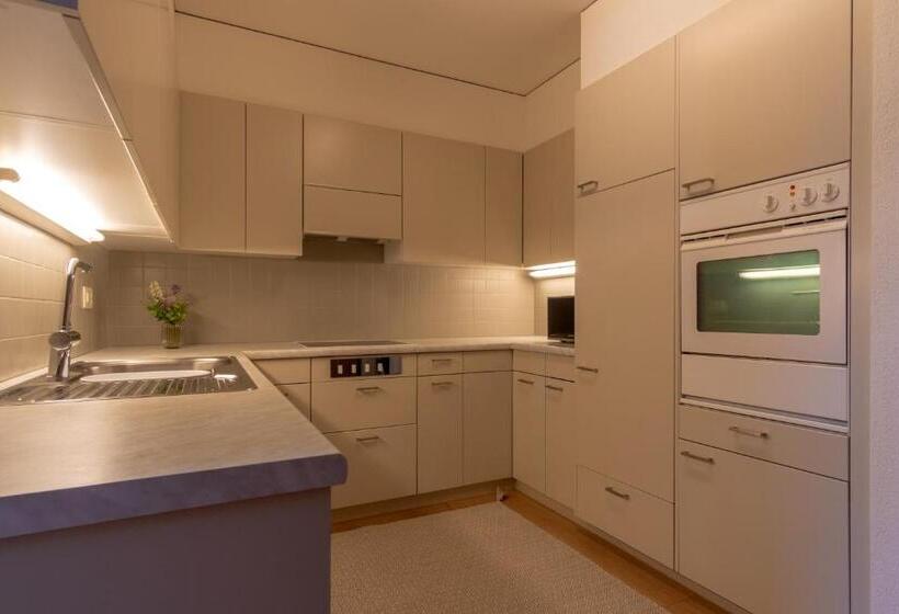 Apartamento 1 Dormitorio, Edelweiss