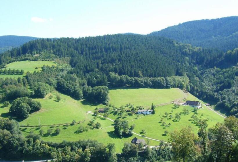 Standard Single Room, Schauinsland