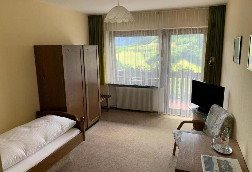 Standard Single Room, Schauinsland