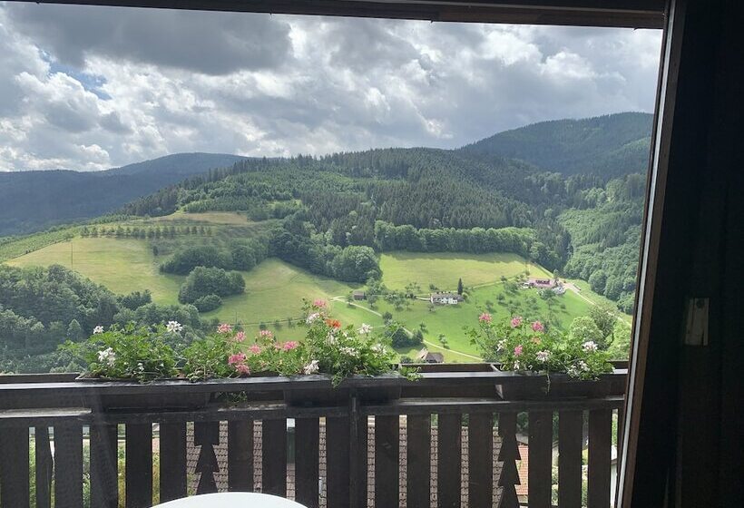 اتاق استاندارد یک نفره, Schauinsland