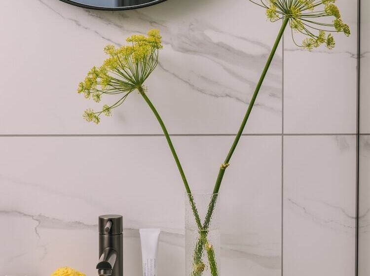 اتاق استاندارد یک نفره, Sonder Rose