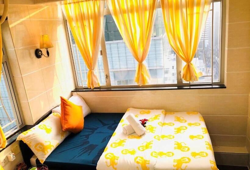 اتاق لوکس یک تخته, David Lounge