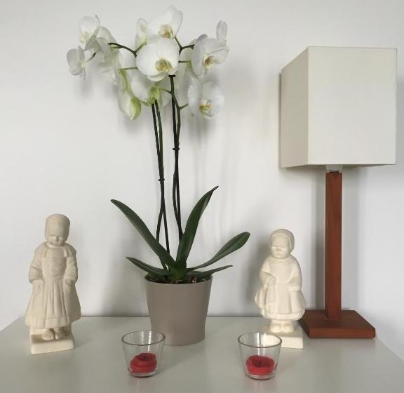 آپارتمان 1 خوابه با چشم‌انداز دریا, Appartement Design I   Port Du Rosmeur   Douarnenez
