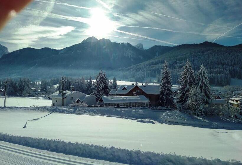 آپارتمان 1 خوابه, Appartments Helvetia