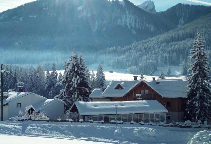 آپارتمان 1 خوابه همکف, Appartments Helvetia