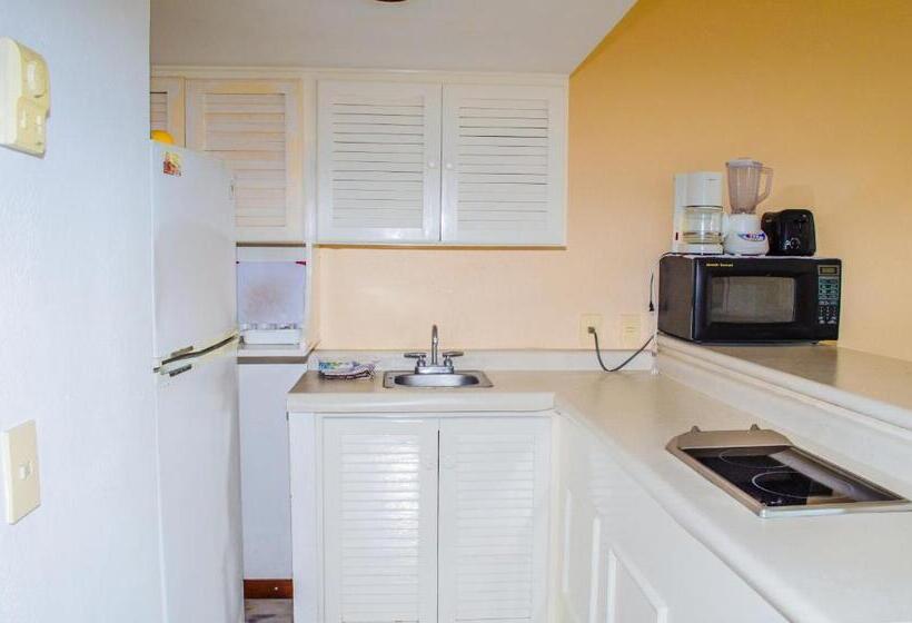 آپارتمان 1 خوابه, Enna Inn Ixtapa Departamento 01 Recamara Vista Mar
