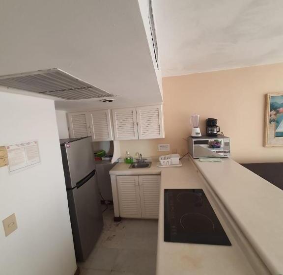 آپارتمان 1 خوابه, Enna Inn Ixtapa Departamento 01 Recamara Vista Mar